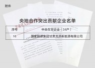 龙源电力荣获甘肃省央地合作突出贡献企业