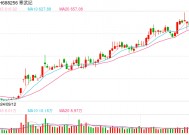 科技权重股持续下挫 寒武纪跌近10%